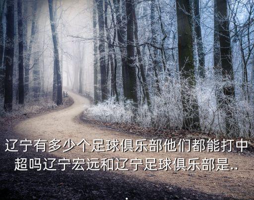 沈陽有沒有足球隊,遼寧沈陽城市足球隊