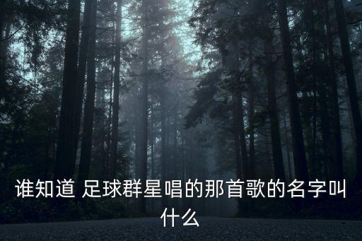 誰知道 足球群星唱的那首歌的名字叫什么