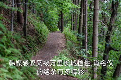 韓媒警告中國足球,中國足球被國際權(quán)威組織警告