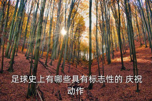  足球史上有哪些具有標志性的 慶祝動作