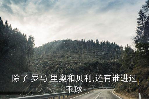 除了 羅馬 里奧和貝利,還有誰進(jìn)過千球