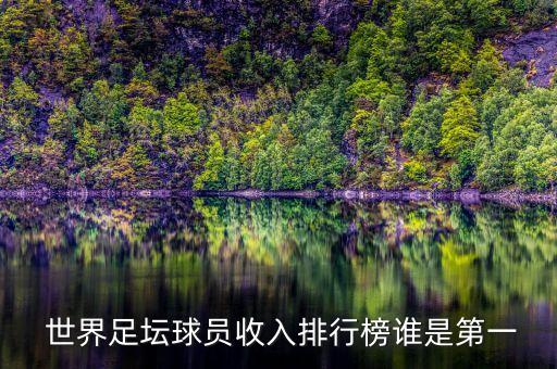 世界足球工資
