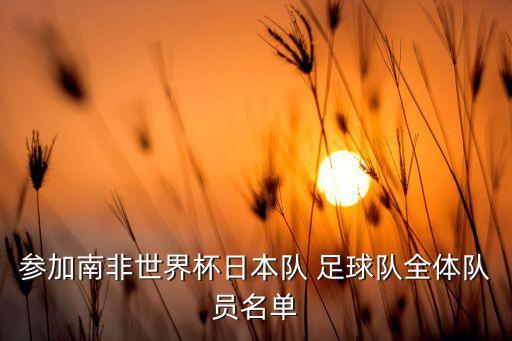 參加南非世界杯日本隊(duì) 足球隊(duì)全體隊(duì)員名單