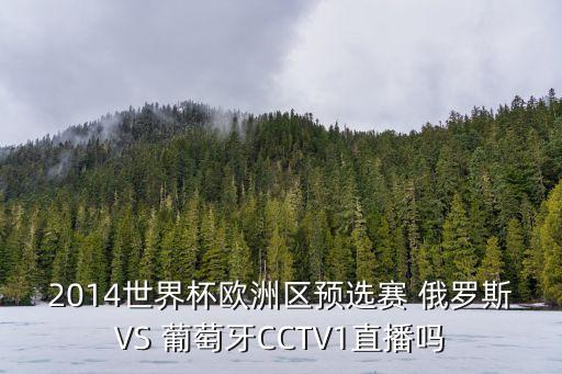 2014世界杯歐洲區(qū)預(yù)選賽 俄羅斯VS 葡萄牙CCTV1直播嗎