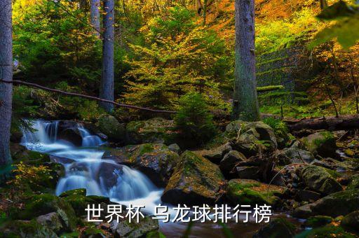 世界杯 烏龍球排行榜