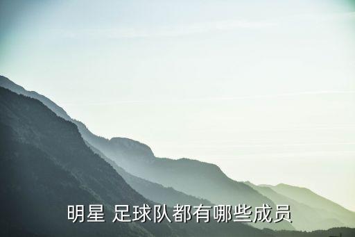  明星 足球隊(duì)都有哪些成員
