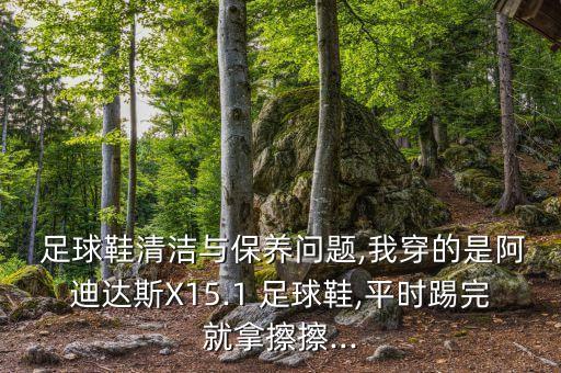 袋鼠皮足球鞋內襯 怎么清洗
