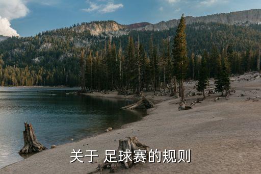 關于 足球賽的規(guī)則