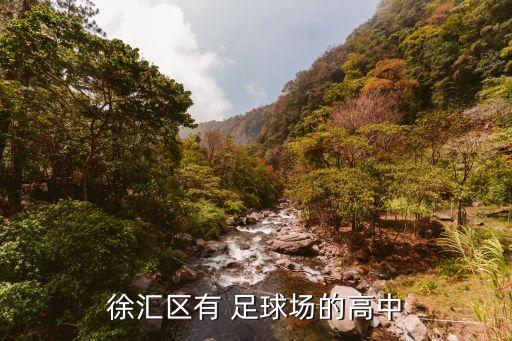 徐匯區(qū)有 足球場的高中