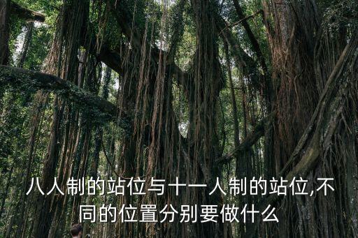  八人制的站位與十一人制的站位,不同的位置分別要做什么