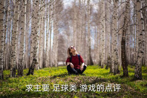 求主要 足球類 游戲的點(diǎn)評