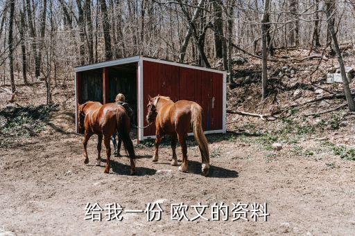 足球歐文球衣,歐文獨行俠球衣