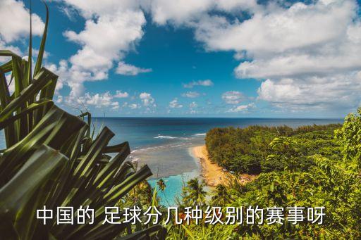 中國足球有那些比賽