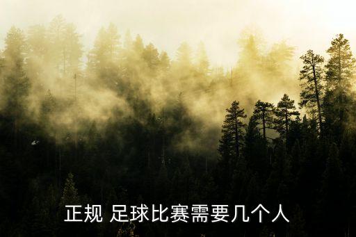 正規(guī) 足球比賽需要幾個人
