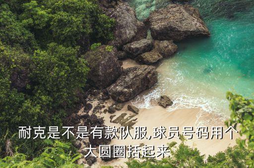  耐克是不是有款隊(duì)服,球員號(hào)碼用個(gè)大圓圈括起來(lái)