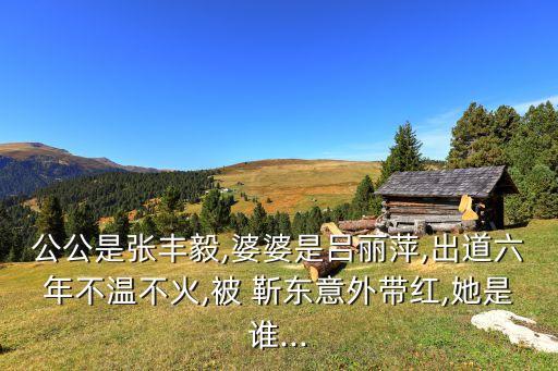 公公是張豐毅,婆婆是呂麗萍,出道六年不溫不火,被 靳東意外帶紅,她是誰...