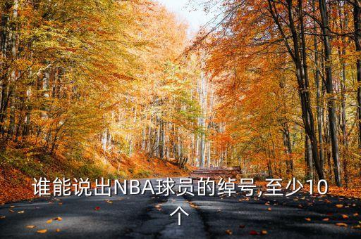 誰(shuí)能說(shuō)出NBA球員的綽號(hào),至少10個(gè)