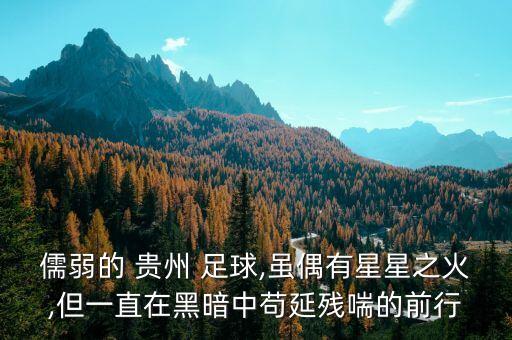 儒弱的 貴州 足球,雖偶有星星之火,但一直在黑暗中茍延殘喘的前行