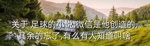 關(guān)于 足球的小說(shuō),微信是他創(chuàng)造的,其余的忘了,有么有人知道叫啥