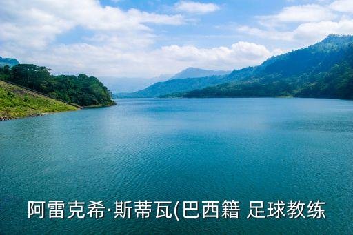 阿雷克?！に沟偻?巴西籍 足球教練