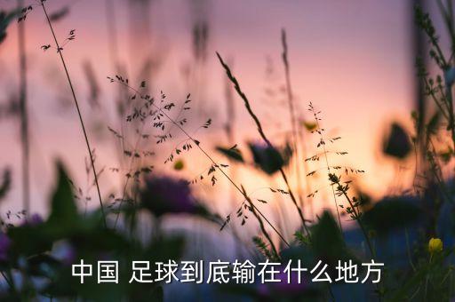 中國(guó) 足球到底輸在什么地方
