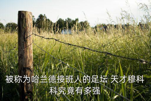 現(xiàn)在足球天才球員,足球天才球員突破消耗不存在什么意思