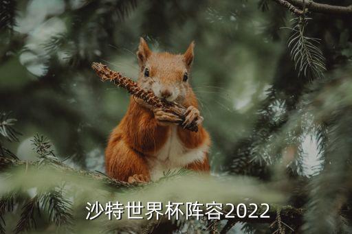  沙特世界杯陣容2022