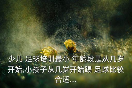 北京青少年足球2006年齡段,青少年足球年齡段劃分標(biāo)準(zhǔn)表
