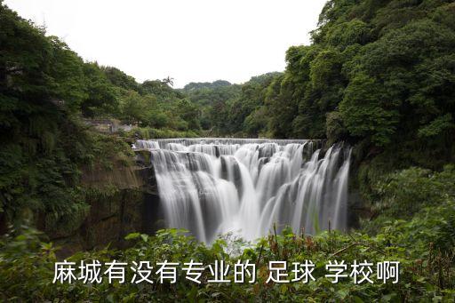 麻城有沒有專業(yè)的 足球 學(xué)校啊