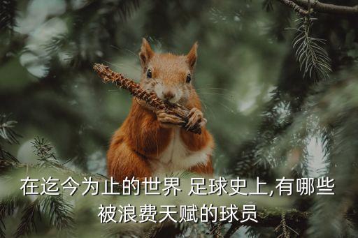 在迄今為止的世界 足球史上,有哪些被浪費(fèi)天賦的球員