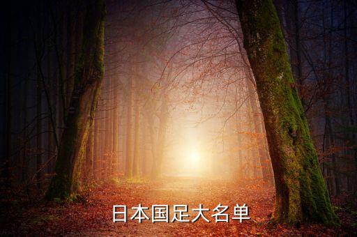日本海外足球隊員,波風(fēng)水門日本足球隊員