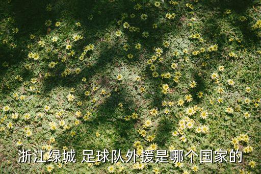 中泰 足球,中泰足球10比1