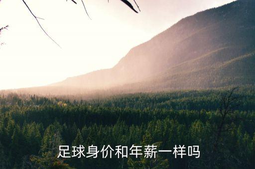  足球身價和年薪一樣嗎
