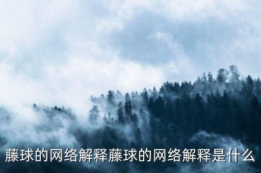 藤球的網(wǎng)絡(luò)解釋藤球的網(wǎng)絡(luò)解釋是什么