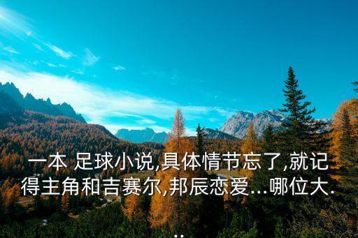 一本 足球小說,具體情節(jié)忘了,就記得主角和吉賽爾,邦辰戀愛…哪位大...
