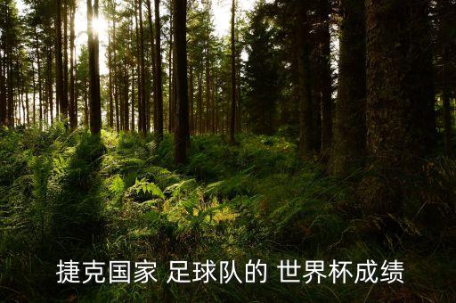 捷克足球世界排名第幾,捷克和摩爾多瓦足球世界排名