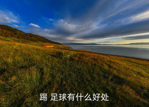 踢 足球有什么好處