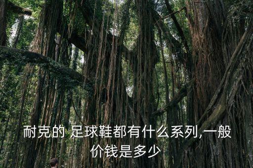  耐克的 足球鞋都有什么系列,一般價錢是多少