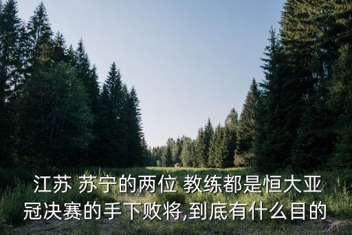  江蘇 蘇寧的兩位 教練都是恒大亞冠決賽的手下敗將,到底有什么目的