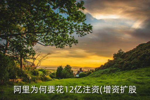 阿里為何要花12億注資(增資擴(kuò)股