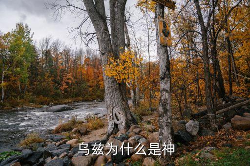 今晚足球中國隊(duì)vs烏茲