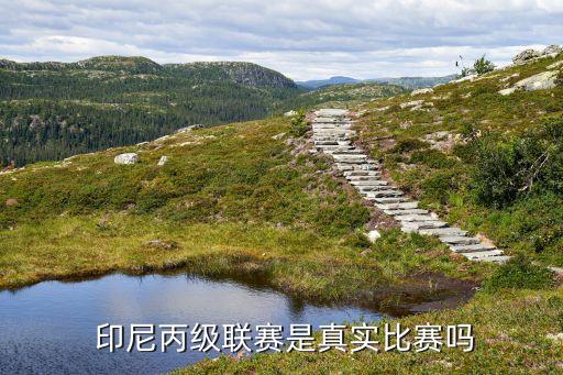  印尼丙級聯(lián)賽是真實(shí)比賽嗎