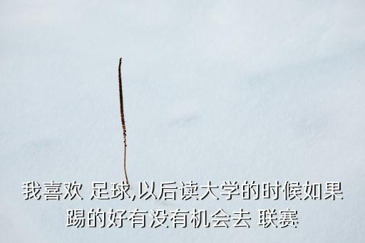 中國(guó)大學(xué)生足球聯(lián)賽進(jìn)入職業(yè),飛利浦中國(guó)大學(xué)生足球聯(lián)賽