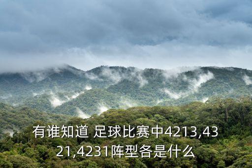 有誰知道 足球比賽中4213,4321,4231陣型各是什么