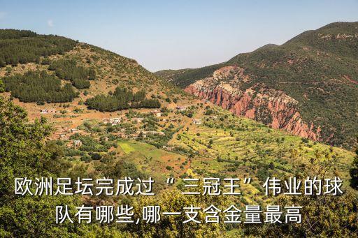 國米三冠王天下足球,天下足球穆尼尼奧國米三冠王