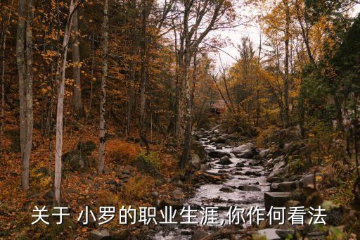足球大師黃金一代小羅