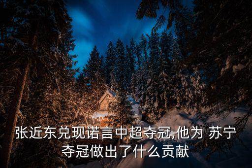 張近東兌現(xiàn)諾言中超奪冠,他為 蘇寧奪冠做出了什么貢獻(xiàn)