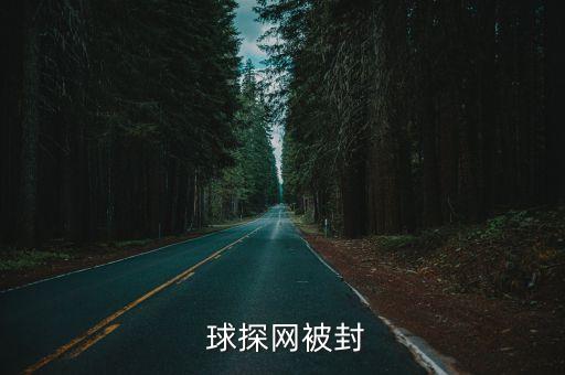  球探網(wǎng)被封