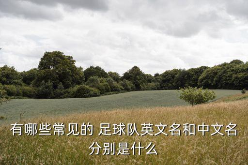 有哪些常見的 足球隊(duì)英文名和中文名分別是什么
