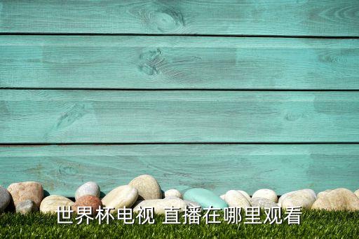 怎么看足球國際賽直播,網(wǎng)絡(luò)電視怎么看足球直播